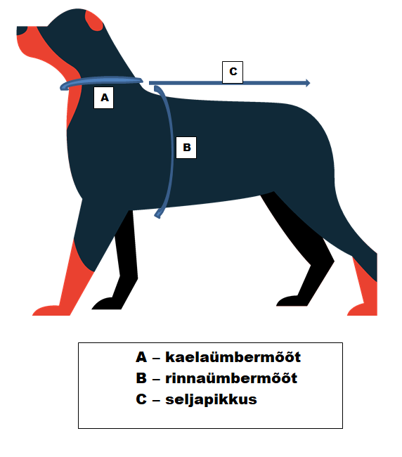 Koera mõõtmise juhend